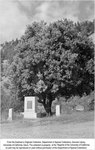 C-190