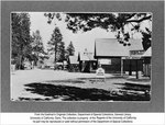 P-1042