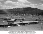 P-1096
