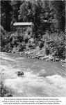 P-1193