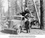 P-1906