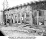P-1954