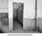 P-1955