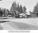 P-1978