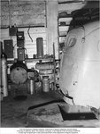 P-1981
